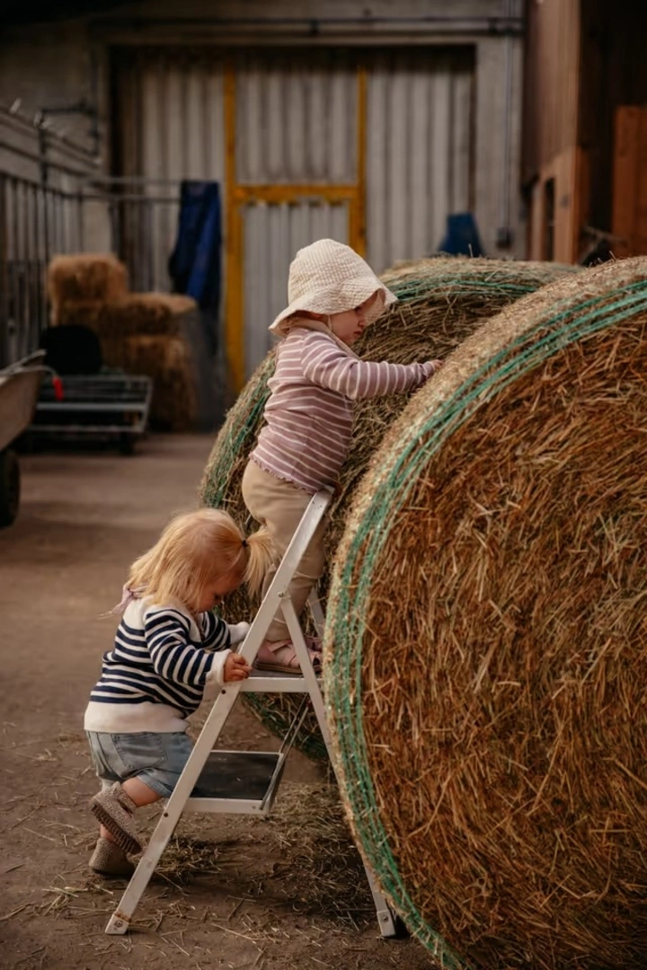 Camping Wiesmoor Ranch - Natur