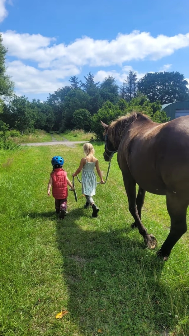 Camping Wiesmoor Ranch - Lagerfeuer