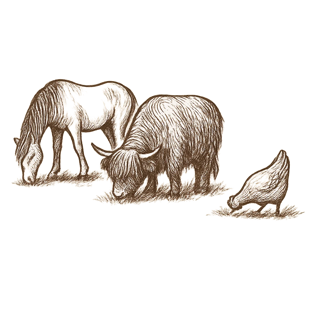 Unsere Tiere